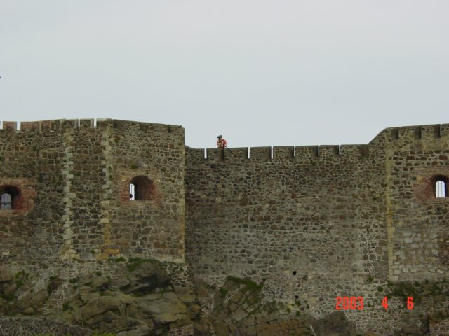 Photograph